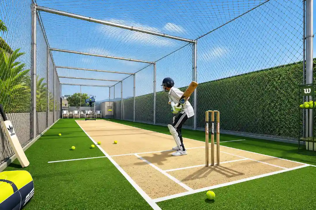 Cricket Court